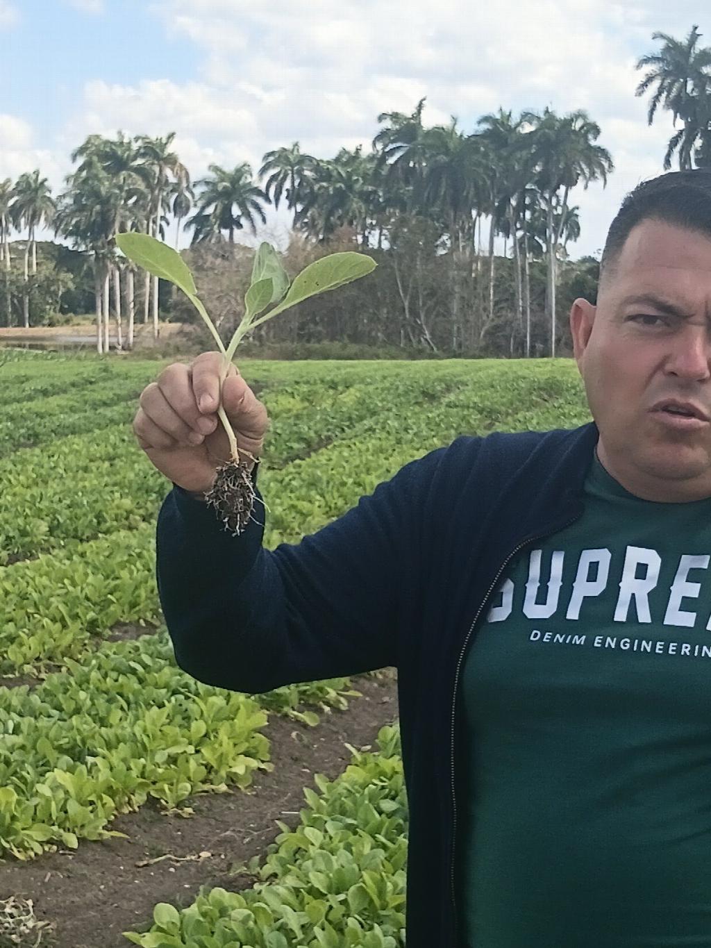 Tradición Ciencia y familia: la fórmula con la que Orelvis Peñate salvó su campaña y busca las 90 hectáreas
